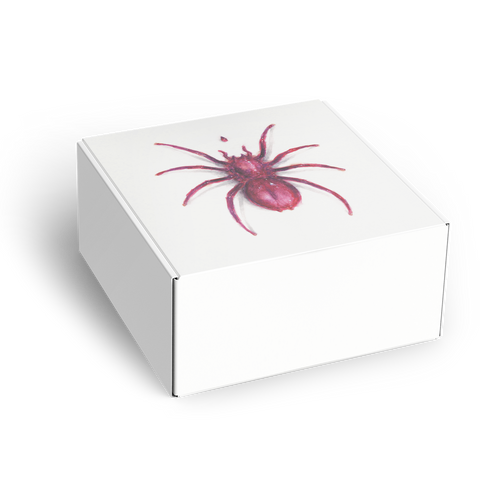 Doja Cat Scarlet CD T Shirt Box Set Official Doja Cat